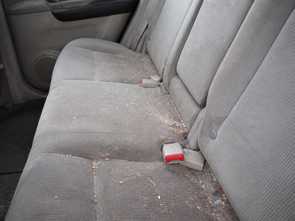 Dirty rear car seat with crumbs, dust and pet hair on gray cloth